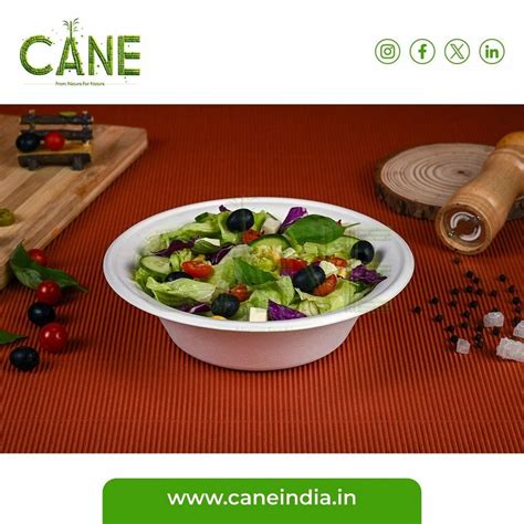 Sugarcane Bagasse Bowl - Unbleach and bleach Biodegradable compostable ...