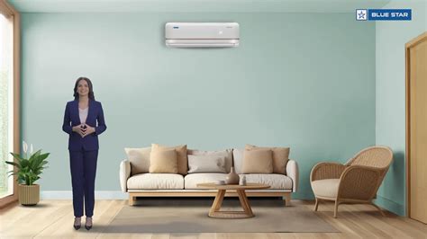 INVERTER AC | T SERIES | 1 TON | 3 STAR | 2025 BEE LABEL – Blue Star