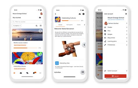 Online LMS 的图像结果