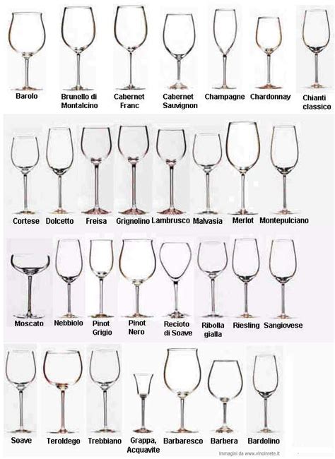 Wine Glass Types Chart at Aaron Copeley blog