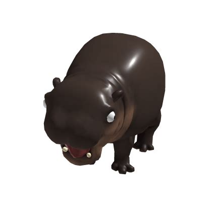 Hipoo Roblox 的图像结果