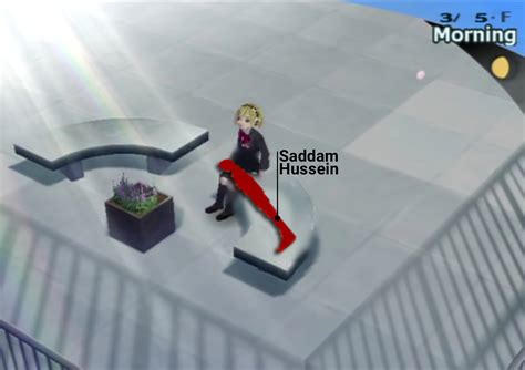 Saddam's Hiding Place : r/OkBuddyPersona