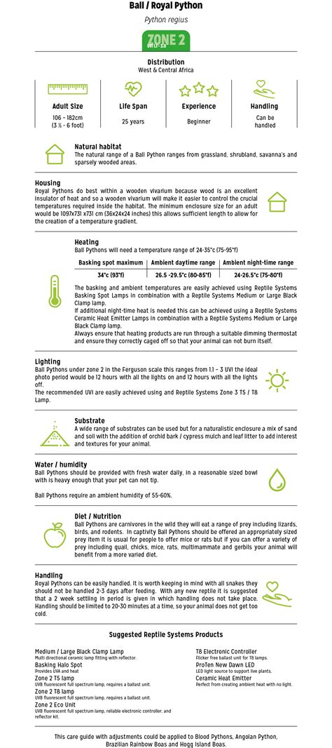 Royal Python Setup Guide 的图像结果