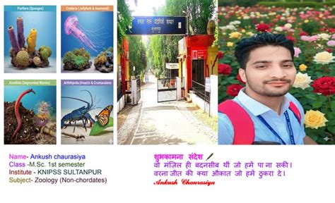 How to Write a C Program in Code Blocks 的图像结果