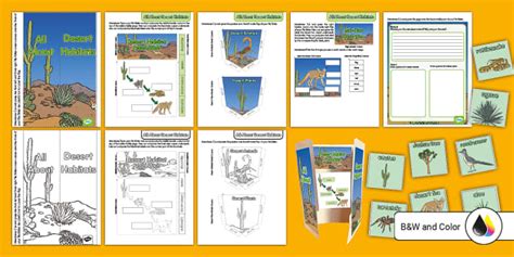 All About Desert Habitats Tri-Fold File Folder Activity