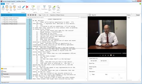 Image result for How to Use Sanction Software