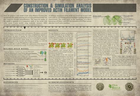 Conference Poster Session Examples 的图像结果