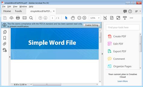 Image result for PDF File Document Using
