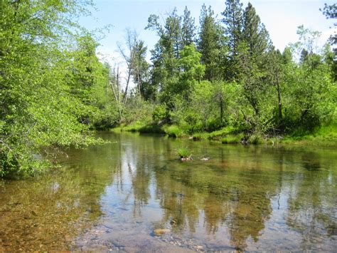 Glenn & Carol's Hiking Adventures: Elk Creek Trail