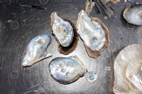 Image result for Shell Pearl Factory