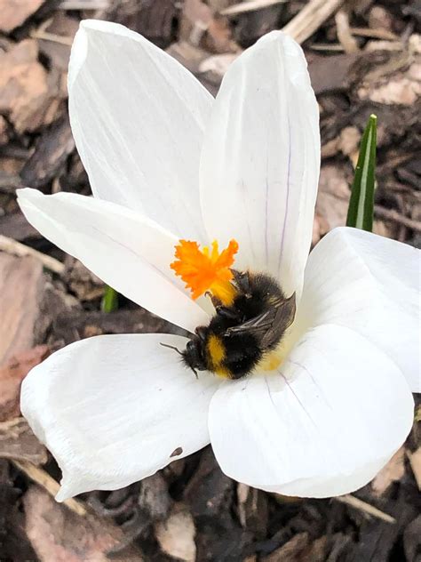 AG Beieschoul Woltz 2025, FC Wiltz 71, Clervaux, 14 March 2025 | AllEvents