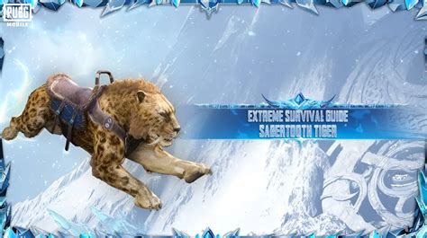 How to Find & Ride Sabretooth Tiger in PUBG Mobile