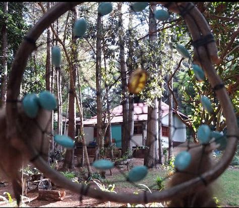 EL DORADO (Tzimol) - Specialty B&B Reviews & Photos - Tripadvisor