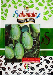 Sakuntala Hybrid Seeds TILI MAKRA BRINJAL BENGAN BEGUN SEEDS For Home ...