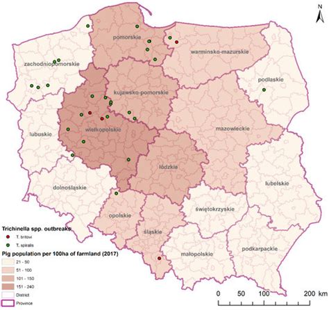 Trichinella Outbreaks on Pig Farms in Poland in 2012–2020