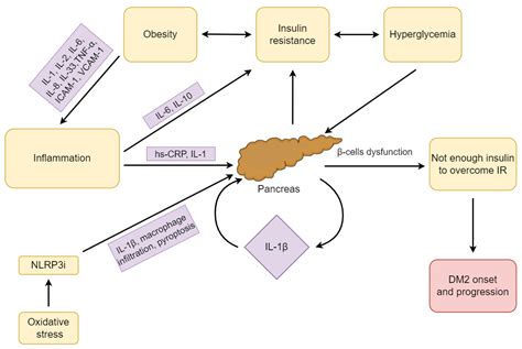 Dm2 Medical Abbreviation
