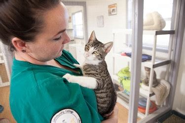 Image result for Accredited Vet Tech Programs