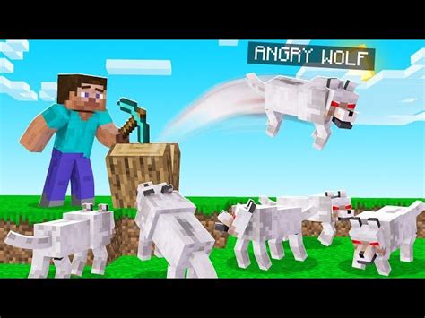 Minecraft Baby Angry Wolf 的图像结果
