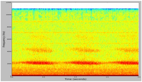 Toward Audio Beehive Monitoring: Deep Learning vs. Standard Machine ...