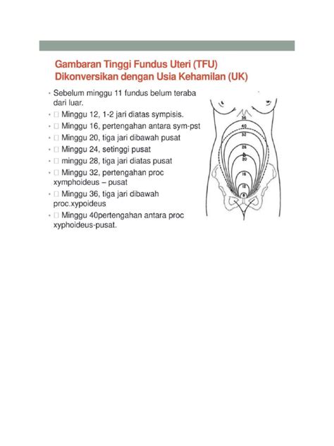 TFU File Format 的图像结果