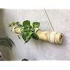 COIR GARDEN - Bamboo Hanging Planters with Adjustable Rope - Bamboo ...