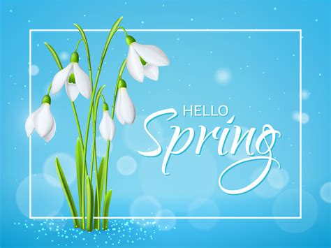 Image result for Foreshadow of Spring