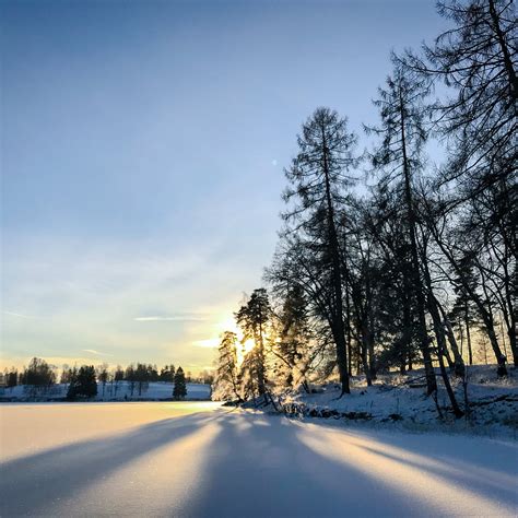 50 Best 'Step Brothers' Quotes From the Movie - Parade