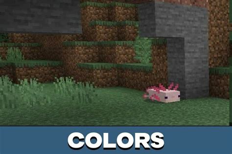 Image result for Minecraft Java Edition Axolotl Mod