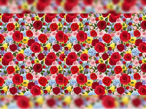 khojo to jane Optical illusion challenge find Lily among rose in viral ...