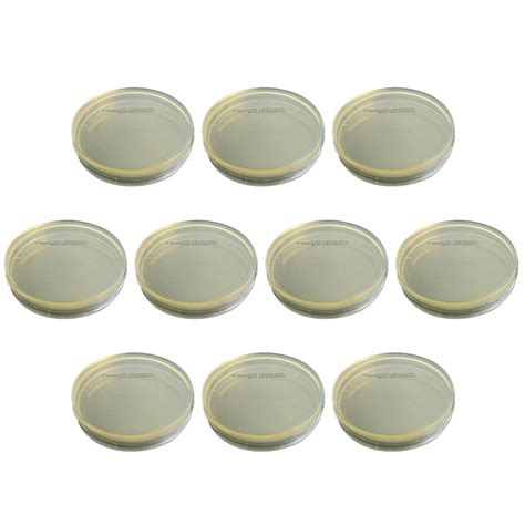 Buy Mipcase Biological R2A Agar Plates- 10pcs Vacuum Packaging ...