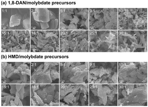 Precursor-Based Syntheses of Mo(C,N,O)x, Molybdenum Carbide, Nitride ...