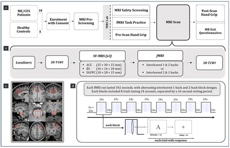 A Multimodal Magnetic Resonance Imaging Study on Myalgic ...