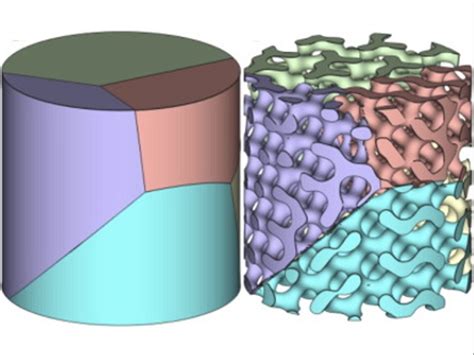 Bioengineering Examples 的图像结果
