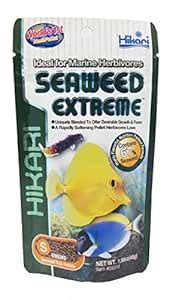 Hikari Seaweed Extreme Fish Food, 45g : Amazon.in: Pet Supplies
