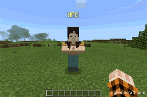 Image result for Minecraft NPC Command