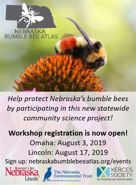 Resource - A Publication of the Nebraska Environmental Trust (July 2019)