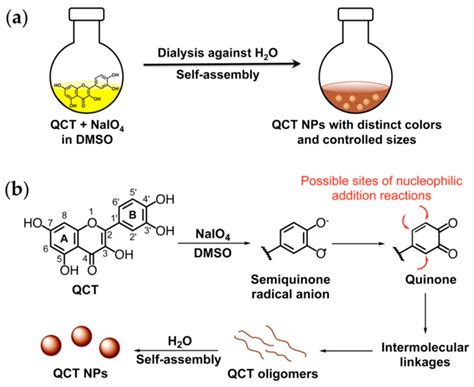 Recent Advances in Antioxidant Polymers: From Sustainable and Natural ...