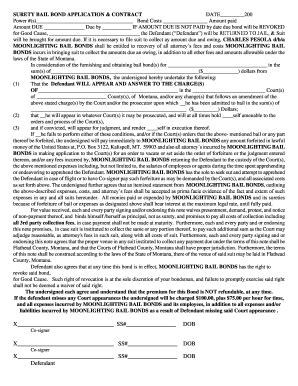 Fillable Online Surety bail bond application amp bcontractb ...
