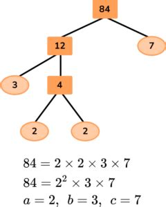 Factor Tree Square Root 的图像结果