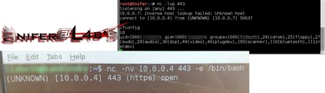 How to Use Netcat Reverse Shell 的图像结果