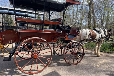 CRONIN’S KILLARNEY CARRIAGE RIDES (2026) All You Need to Know BEFORE ...