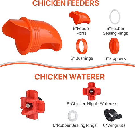 Buy Diggtek DIY Automatic Chicken Feeders and Waterer Set No Waste, 6 ...