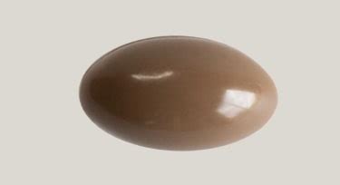 Persona Selenium | Antioxidant & Immune System Support Supplement Benefits