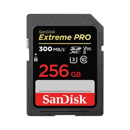 Buy SanDisk Extreme PRO 256GB UHS-II U3 4K V90 SDXC Card Online at Best ...