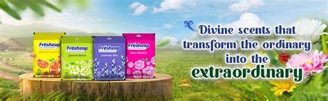 Buy FRESHZAP Air freshener Refreshing Citrus 10g (Air Pocket ...