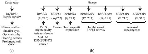Contribution of Model Organisms to Investigating the Far-Reaching ...