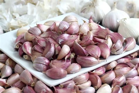 https://yummieliciouz.com/wp-content/uploads/2022/05/fresh-garlic-cloves-1024x683-jpg.webp