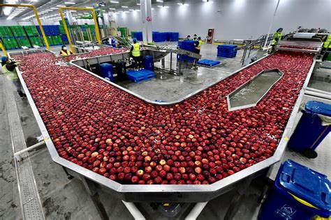 阿里产地仓：机器效率是人工百倍，每颗水果要过158道检查关_龙商网