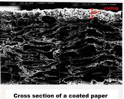 Image result for Paper Coating Types