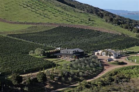 Top 10 Auckland Food & wine tours 2023 - Klook India